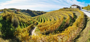 Prosecco+Hills