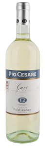 Pio Cesare Gavi